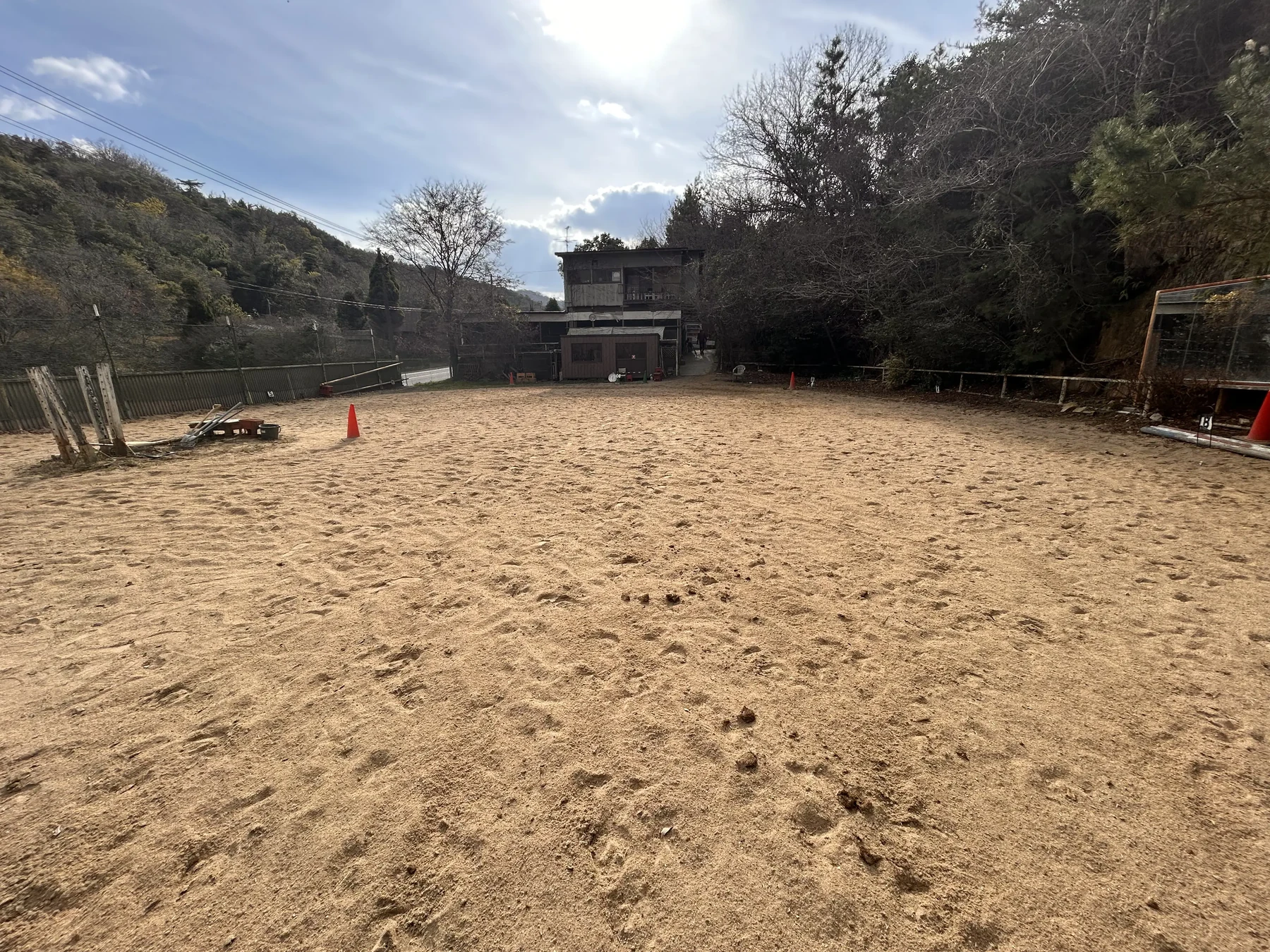 馬との出会い